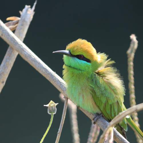 Photo #5691710