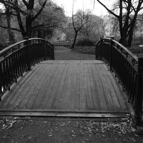 Photo #5691760