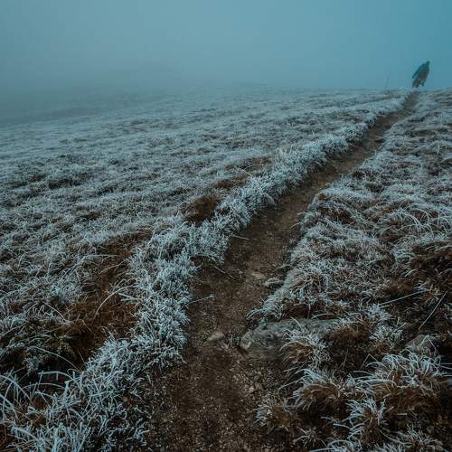 Photo #5691799