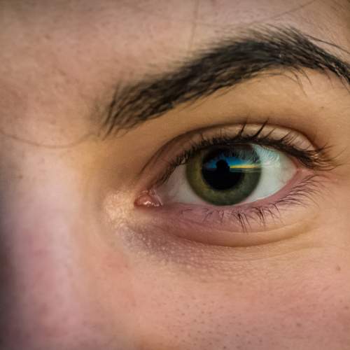 Photo #5691857