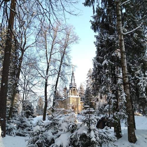 Photo #5691932