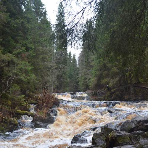 Photo #5691970