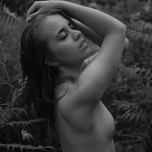 Photo #5692026