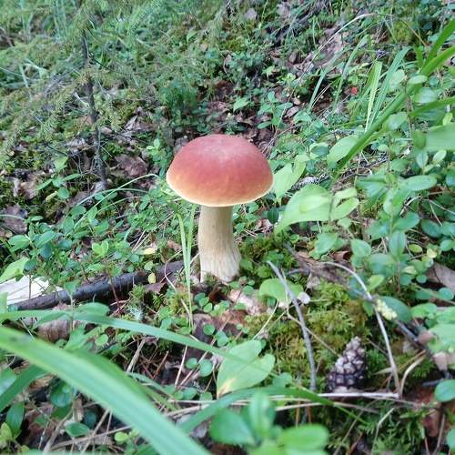 Photo #5692164