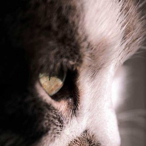 Photo #5692220