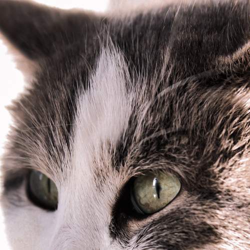 Photo #5692221