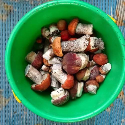 Photo #5692257