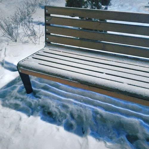 Photo #5692265
