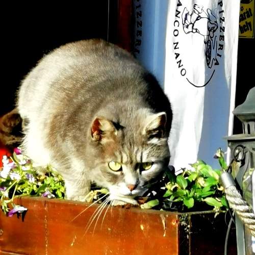 Photo #5692294