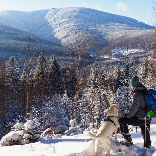 Photo #5692314