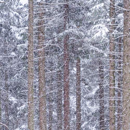Photo #5692319