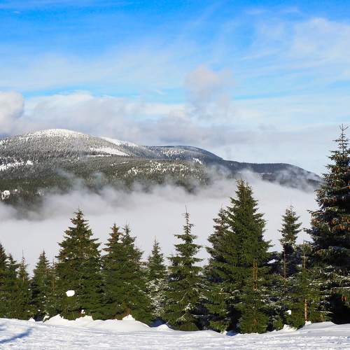 Photo #5692336