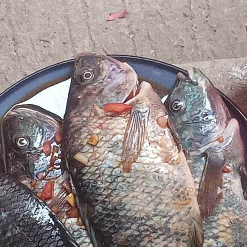 Photo #5692428