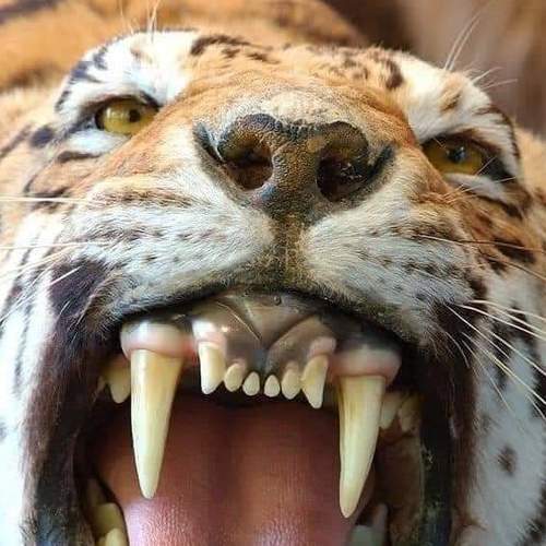 Photo #5692451