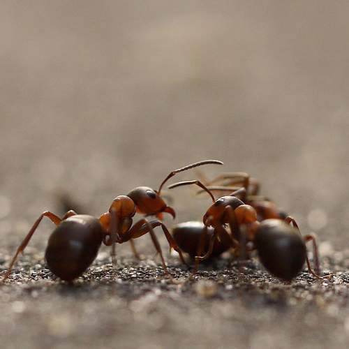 Photo #5692493