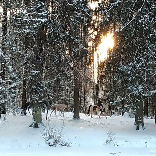 Photo #5692601