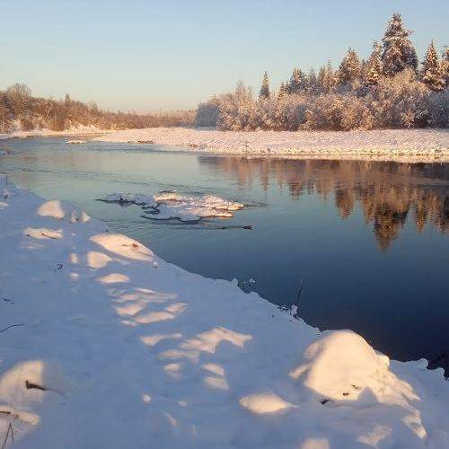 Photo #5692674