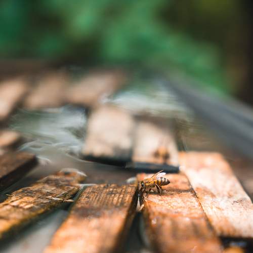 Photo #5692800