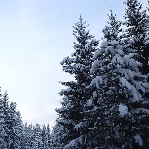 Photo #5692808