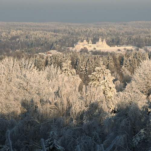 Photo #5693032