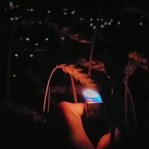 огонь в тьме