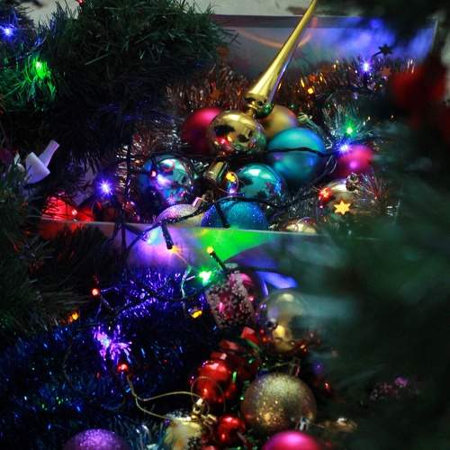 Photo #5693937