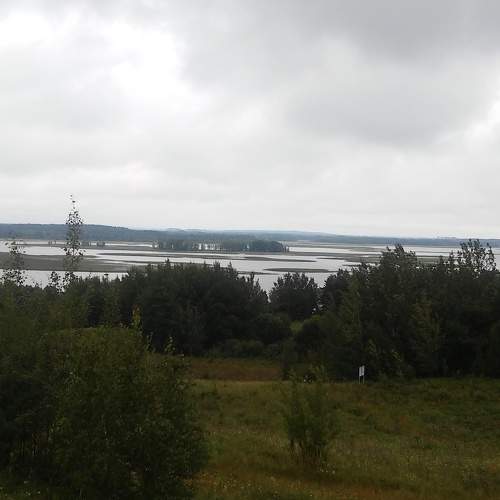 Photo #5693978