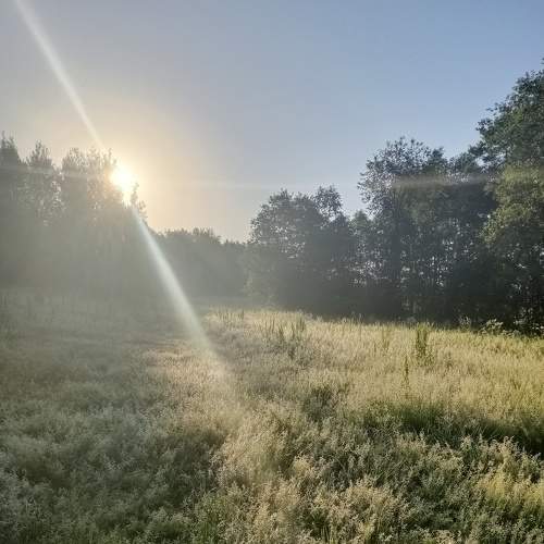 Photo #5694056