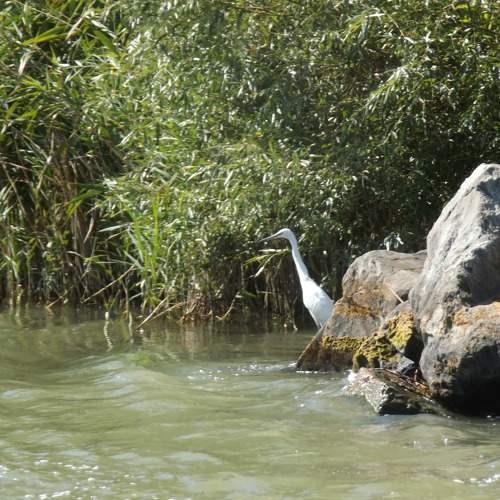 Photo #5694063