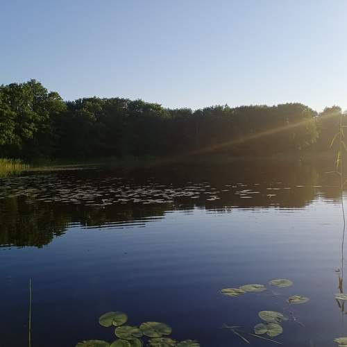 Photo #5694190