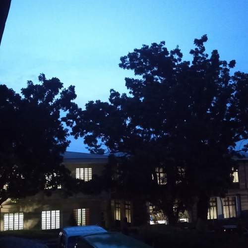 Photo #5694254