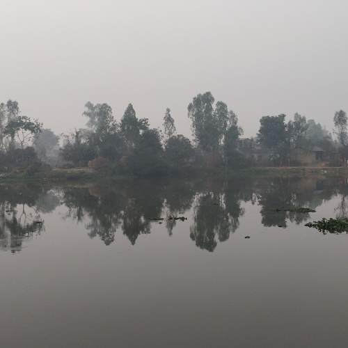 Photo #5694291