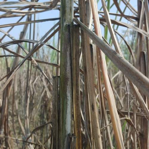 Photo #5695099