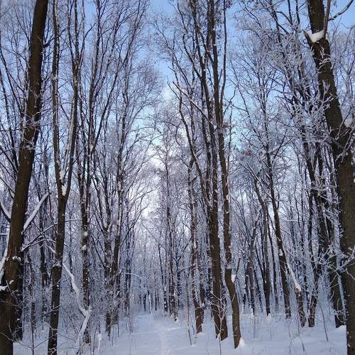 Photo #5695340