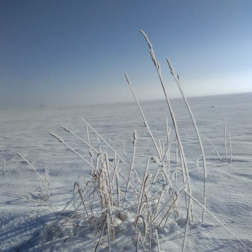 Photo #5695352