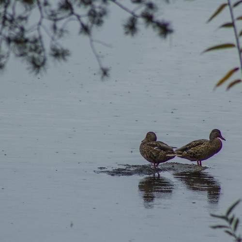 Photo #5695487