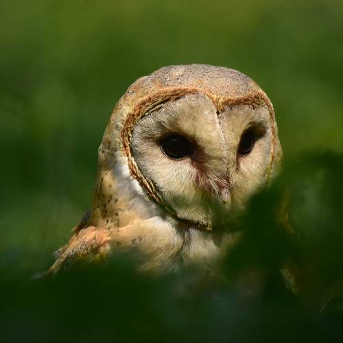 Photo #5695571