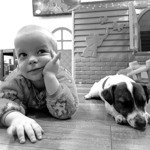 Photo #5695583