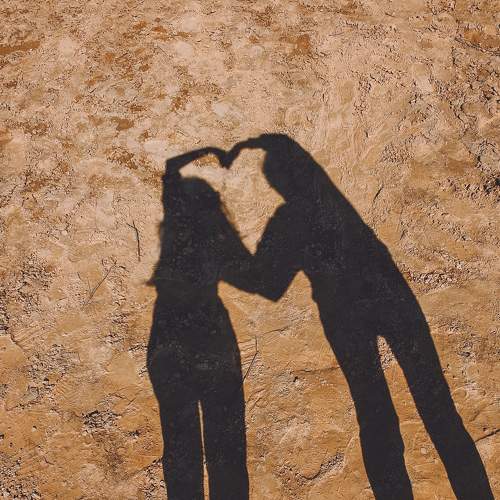 Photo #5695604