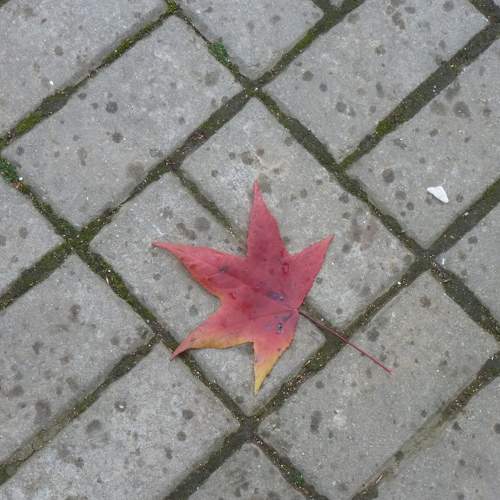 Photo #5695818