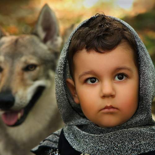 Photo #5696056