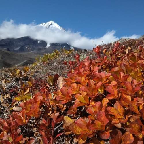 Photo #5696221
