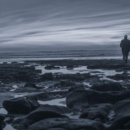Photo #5696464