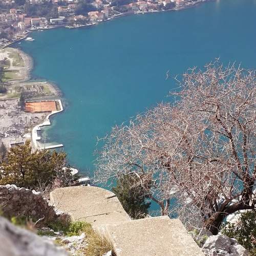 Photo #5696640