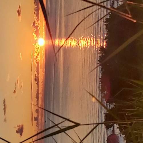 Photo #5696770