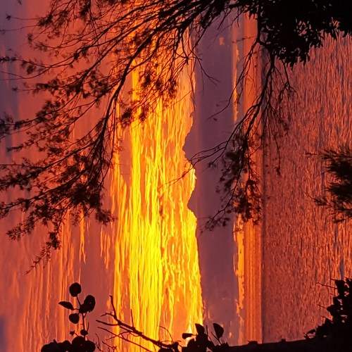 Photo #5696787
