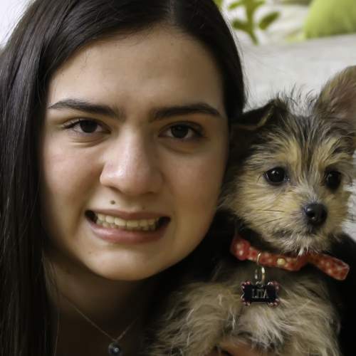 Photo #5697062