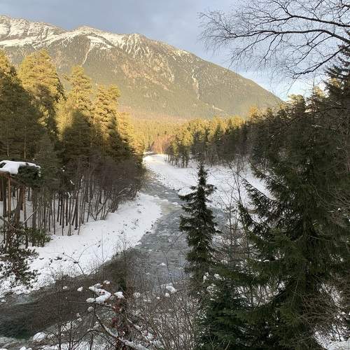 Photo #5697314