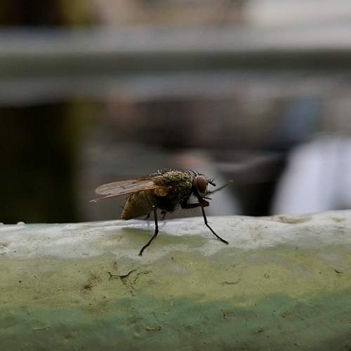 Photo #5697486