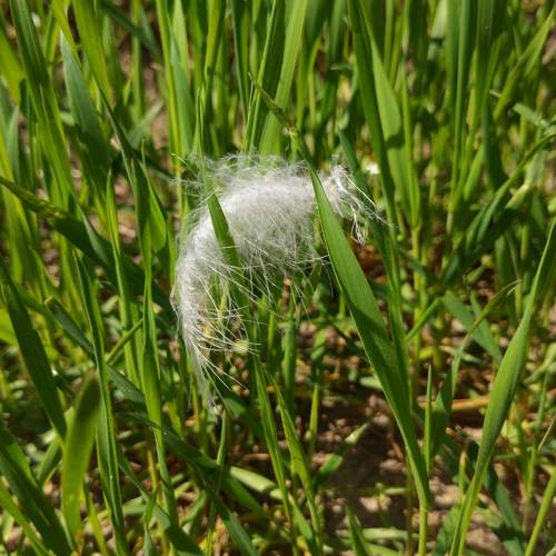 Photo #5697703
